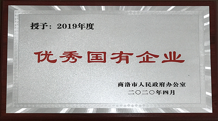 市城投公司榮獲2019年度優(yōu)秀國有企業(yè)稱號