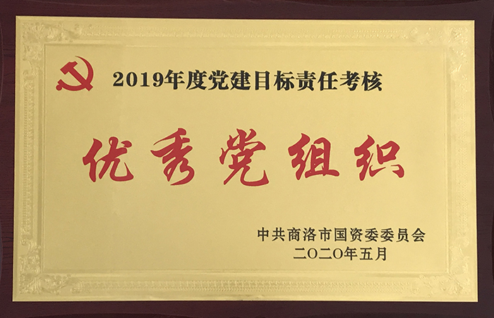 公司2019年黨建目標責任考核獲上級表彰