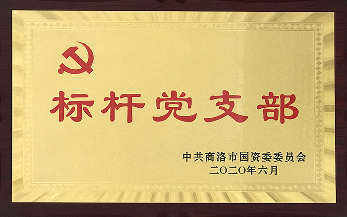 市城投公司第一黨支部榮獲市國(guó)資委黨委 “標(biāo)桿黨支部”稱號(hào)