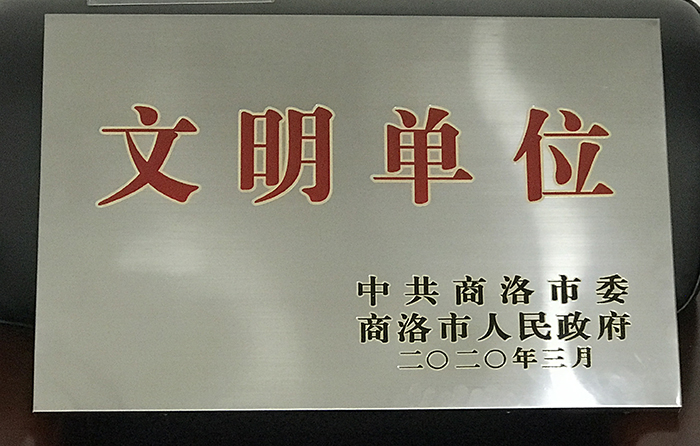 市城投公司榮獲2019年度“市級文明單位”稱號